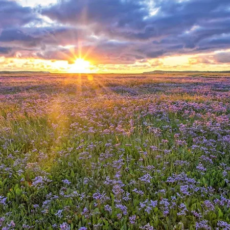 Prázdninový dům In De Koog With Sauna And Garden Westermient